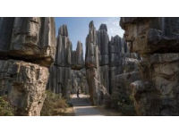 红石林旅游指南：探索红石世界的秘密