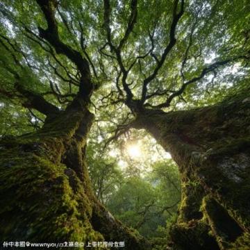 仙鹿回眸处的山海传说与城市风光,鹿回头风景区游记!
