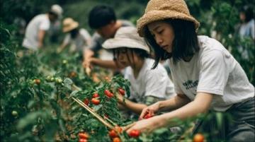 常宁二日游指南:探秘湘南山水与文化,尽享美食与民俗风情