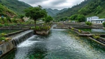寻甸四哨野格山短途游:夏日仙境之旅,雨中漫步自然乐园