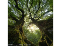 仙鹿回眸处的山海传说与城市风光，鹿回头风景区游记！
