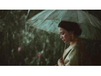 东方典范：探访雨中苏州园林，领略古韵雅集之旅