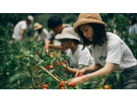 常宁二日游指南：探秘湘南山水与文化，尽享美食与民俗风情