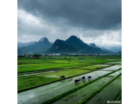说走就走的旅行：驾驶岚图电动车邂逅淄博美景