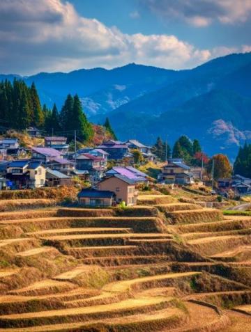 雷山开屯梯田秋色醉人:金黄稻浪与苗寨木屋的绝美邂逅