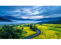 洛阳三日游攻略：古韵与自然风光完美融合的旅程