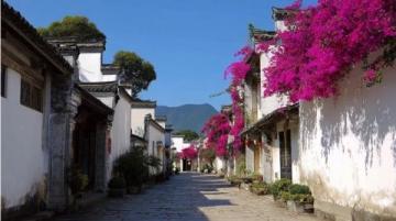 定南旅游攻略小众又出片的赣南小城安利,如果你有空 ~记得来趟赣州定
