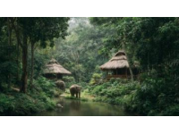 西双版纳旅游攻略3天2晚，网红景点美食住宿一网打尽！