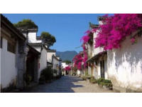 定南旅游攻略小众又出片的赣南小城安利,如果你有空 ～记得来趟赣州定