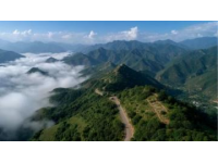 探索泰山：五岳之首的文化与自然奇迹