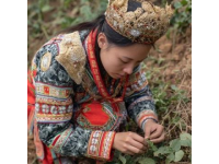 去云南旅游随便了解民俗文化就行啦？