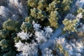冬日奇观：武安七步沟景区冰雪盛景引游人如织
