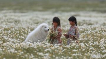 宁夏旅游攻略：健康准备、服装调节与文明出行指南