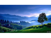 集安旅行体验：自然美景与特色美食之旅