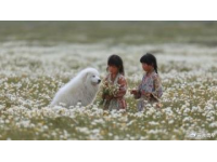 宁夏旅游攻略：健康准备、服装调节与文明出行指南