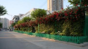 汕头私藏治愈系景点,探索不一样的城市风光