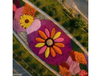 贵阳花溪高坡云顶花海景区自驾游指南