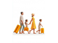 一家三口的旅游梦为什么会变成坎坷的旅程？