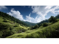 张北草原游记: 河北张北坝上草原暑期旅行指南