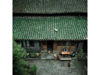 六兄弟齐聚阳朔，难忘家族首次集体旅行记