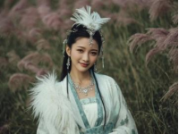 甘肃陇南武都：南部美景的魅力之旅