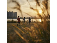 宁夏亲子游必去：三大夏日清凉景点，让孩子在游玩中增长见识