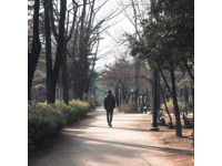 杭州，一个七旬老人独自漫步西湖
