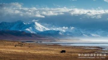 几月份去新疆旅游最好？秋季的喀纳斯和胡杨林不容错过！