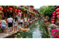 春节湖南 tourism收入创历史新高 文化体验成为游客首选