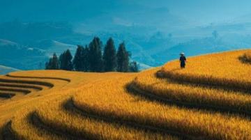 香格里拉旅行全攻略:权威线路+实用建议,自由行必看