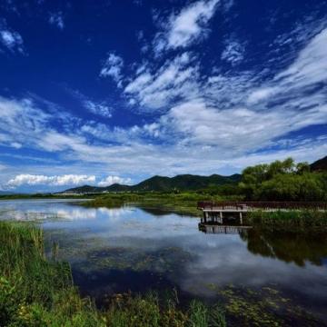 扬州凤凰岛湿地景区游玩攻略及实用信息