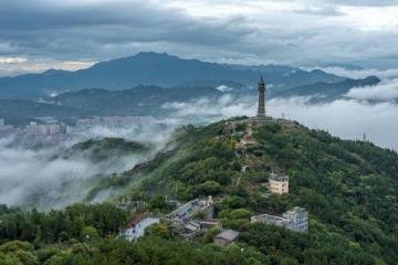 探寻南京秋色巅峰之旅：免费避开人潮攻略大揭秘