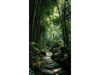 河南固始西九华山景区简介：茶竹禅独特生态旅游体验