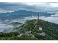 探寻南京秋色巅峰之旅：免费避开人潮攻略大揭秘